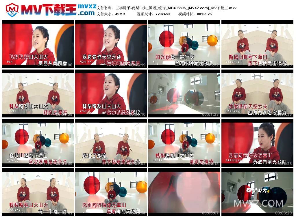 王李腾子-鸭梨山大_国语_流行_MD403896